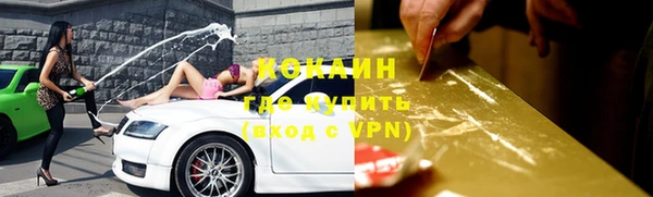тгк Вяземский