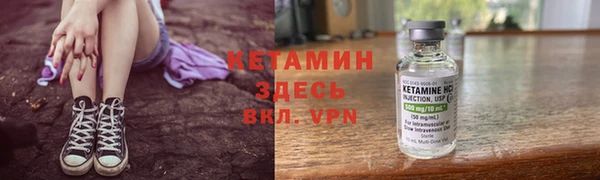 стаф Вязники