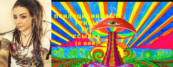 стаф Вязники