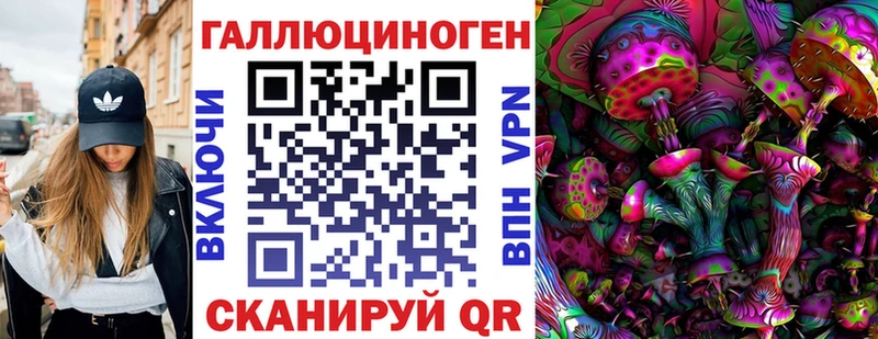 Галлюциногенные грибы Psilocybine cubensis  Петухово 